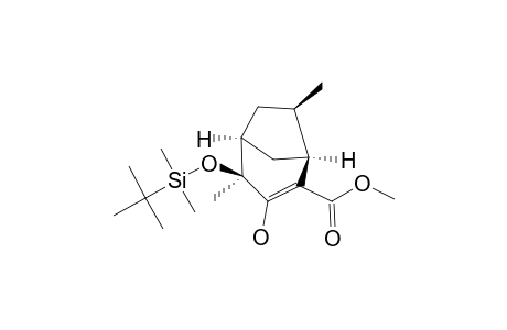 (1S,4S,5S,7R)-4-(TERT.-BUTYLDIMETHYLSILANYLOXY)-3-HYDROXY-4,7-DIMETHYL-BICYCLO-[3.2.1]-OCT-2-ENE-2-CARBOXILIC-ACID-METHYLESTER