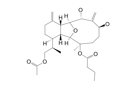 KREMPFIELIN-E