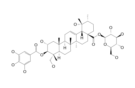 3-BETA-GALOYLOXY-2-ALPHA,19-ALPHA,23-TRIHYDROXY-URS-12-EN-28-OIC-ACID-28-O-BETA-D-GLUCOPYRANOSIDE