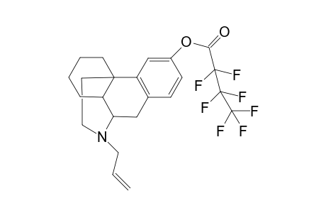 Levallorphan HFB