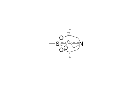 1,3,7,10-TETRAMETHYLSILATHRANE (ISOMER 2)