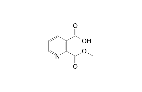 2,3-pyridinecarboxylic acid, 2-methyl ester