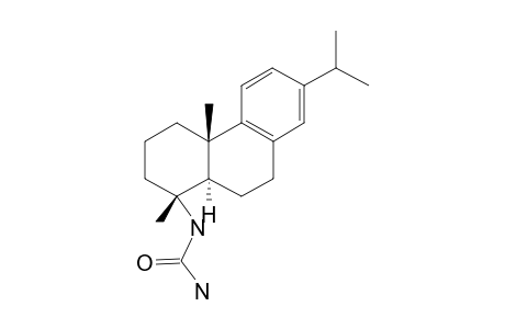 HAPQYDALJMTOLE-MISYRCLQSA-N