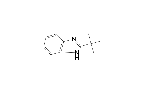 2-tert-BUTYLBENZIMIDAZOLE