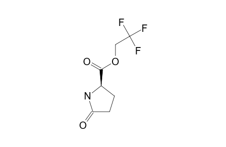 2,2,2-TRIFLUOROETHYL-PYROGLUTAMATE