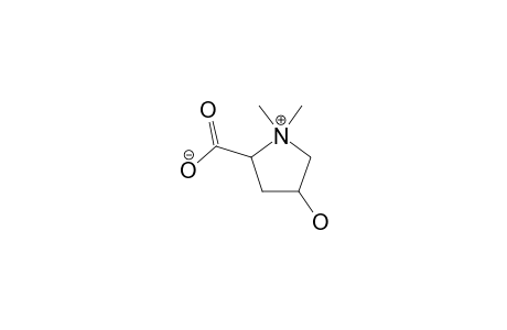 BETONICINE