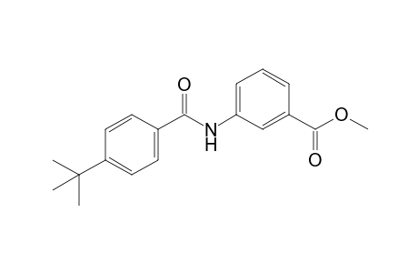 m-(p-tert-butylbenzamido)benzoic acid, methyl ester