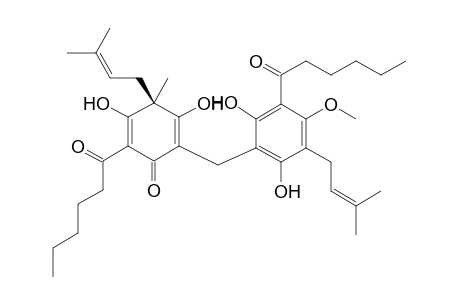 Lindbergin G