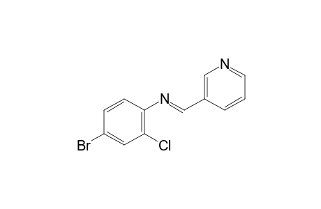 4-bromo-2-chloro-N-[(3-pyridyl)methylene]aniline