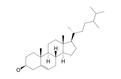 24-METHYL-CHOLESTEROL