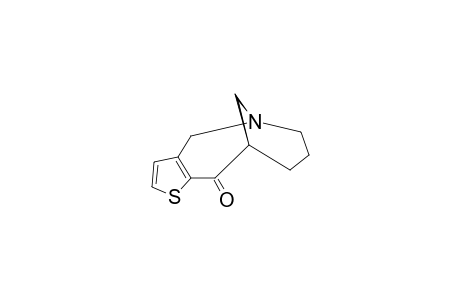 4,5,6,7,8,9-HEXAHYDRO-5,9-METHANOTHIENO-[3.2-C]-AZONIN10-ONE