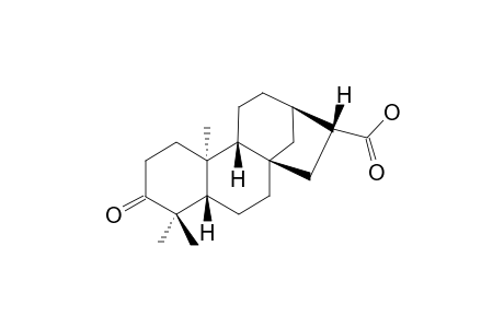 SAPINSIGNOID_G