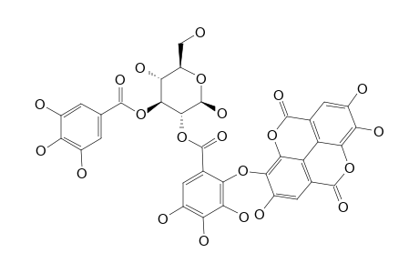 ISO-OENOTHEIN_C