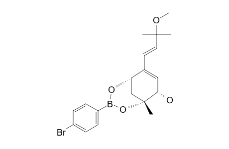 9-O-METHYLACREMINE_F_PARA-BROMOPHENYL-BORONATEESTER