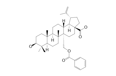 3-BETA-HYDROXY-27-BENZOYLOXY-LUP-20(29)-EN-28-OIC-ACID