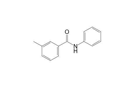 m-toluanilide