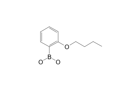 2-Butoxyphenylboronic acid