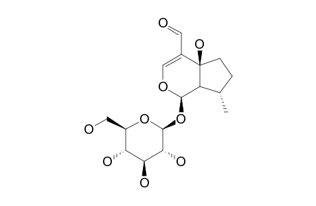 PLANTARENALOSIDE;YUHEINOSIDE