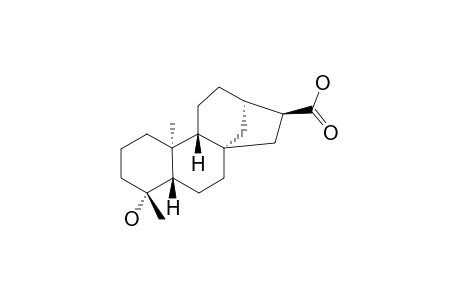 19-NOR-ENT-KAURAN-4-ALPHA-OL-17-OIC-ACID