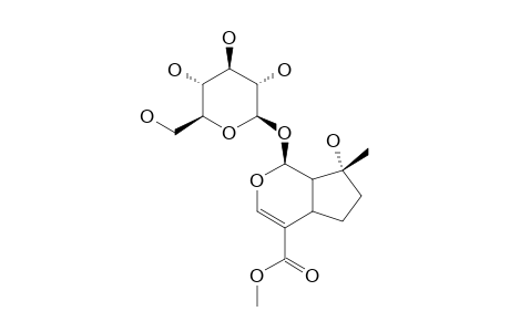 8-EPI MUSSAENOSIDE