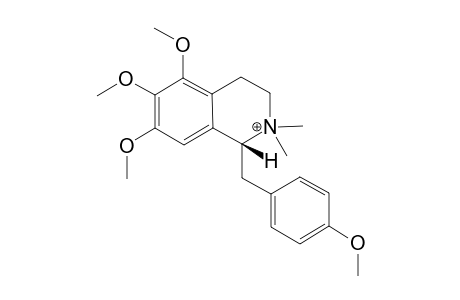 N,N-DIMETHYLANOMURINE