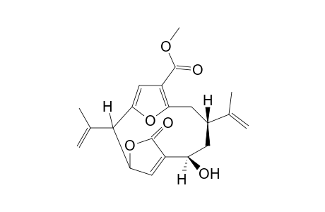 Gorgiacerol