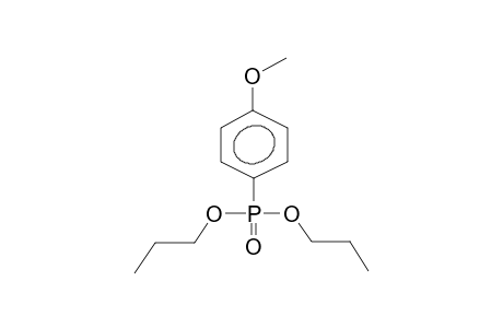 DIPROPYL PARA-METHOXYPHENYLPHOSPHONATE