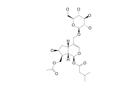 10-O-ACETYL-PATRINOSIDE