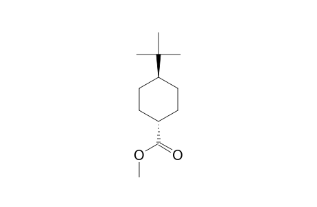 METHYL-TRANS-4-TERT.-BUTYLCYCLOHEXANECARBOXYLATE