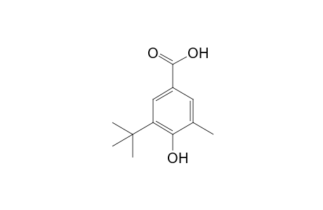 5-tert-BUTYL-4-HYDROXY-m-TOLUIC ACID