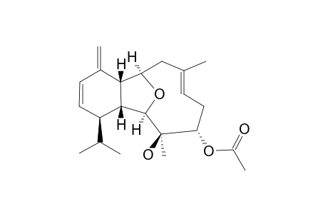 ASTROGORGIN_N