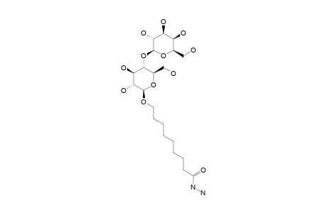 BETA-LACTOSIDE-HYDRAZIDE