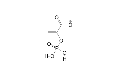 2-phosphonooxyacrylate