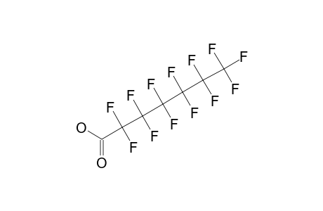 2,2,3,3,4,4,5,5,6,6,7,7,7-TRIDECAFLUORO-HEPTANOIC_ACID