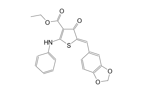 Ethyl (5Z)-2-anilino-5-(1,3-benzodioxol-5-ylmethylene)-4-oxo-4,5-dihydro-3-thiophenecarboxylate