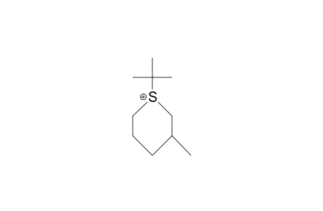 1-tert-Butyl-3-methyl-thianium cation