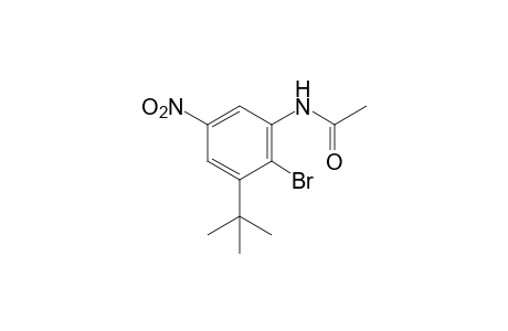 2'-bromo-3'-tert-butyl-5'-nitroacetanilide