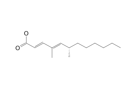 (6-S)-4,6-DIMETHYL-2-E,4-E-DIENOIC-ACID