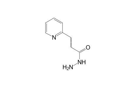 3-(2-Pyridyl)acrylohydrazide