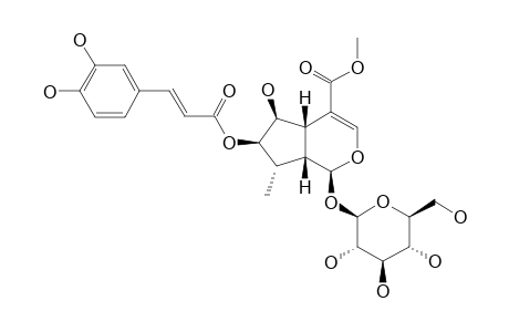 CAUDATOSIDE-F