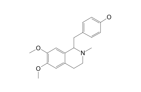 ARMEPAVINE