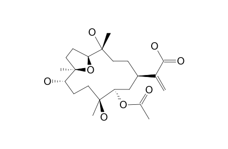 DENDRONPHOLIDE_J