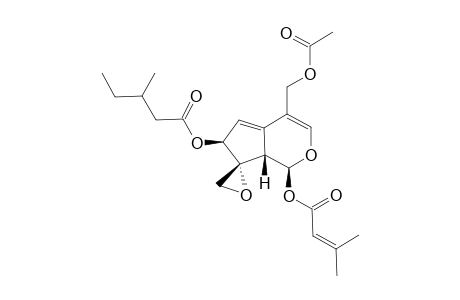 SORBIFOLIVALTRATE_B;1-(3-METHYLCROTONYL)-7-(3-METHYLVALERYL)-11-ACETYLVALTRATE