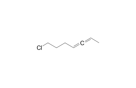 2,3-Heptadiene, 7-chloro-