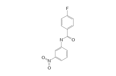 4-fluoro-N-(3-nitrophenyl)benzamide