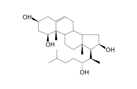 ALLIOSTERIN (FROM ALLIUM SUVOROVII)