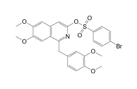 p-bromobenzenesulfonic acid, ester with 6,7-dimethoxy-1-veratryl-3-isoquinolinol