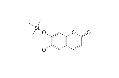 Scopoletin TMS