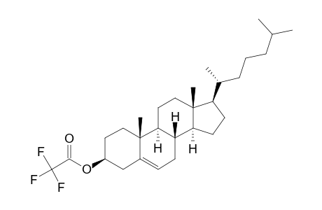 3-BETA-5-CHOLESTENYL-TRIFLUOROACETATE