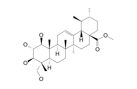 MUCUNAGENIN-B;METHYL-1-BETA,2-ALPHA,3-BETA,23-TETRAHYDROXY-URS-12-EN-28-OATE